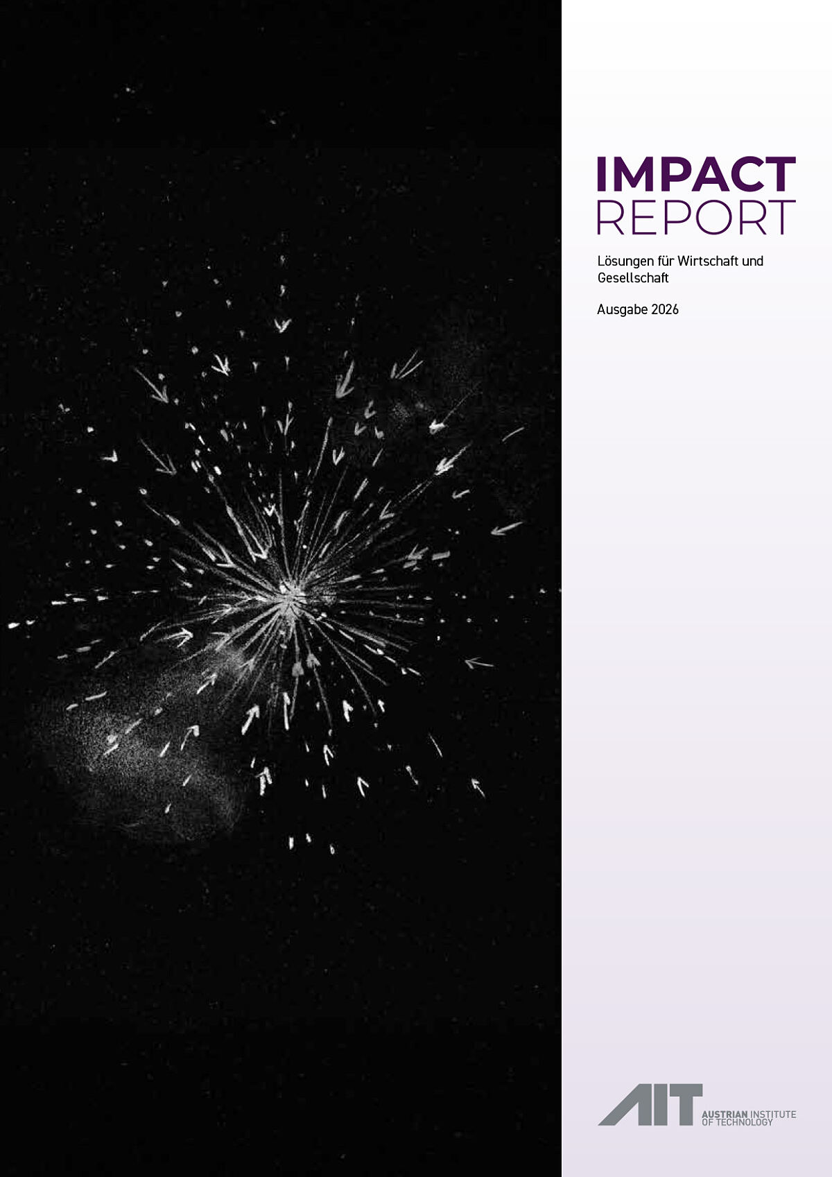 Impact Reports