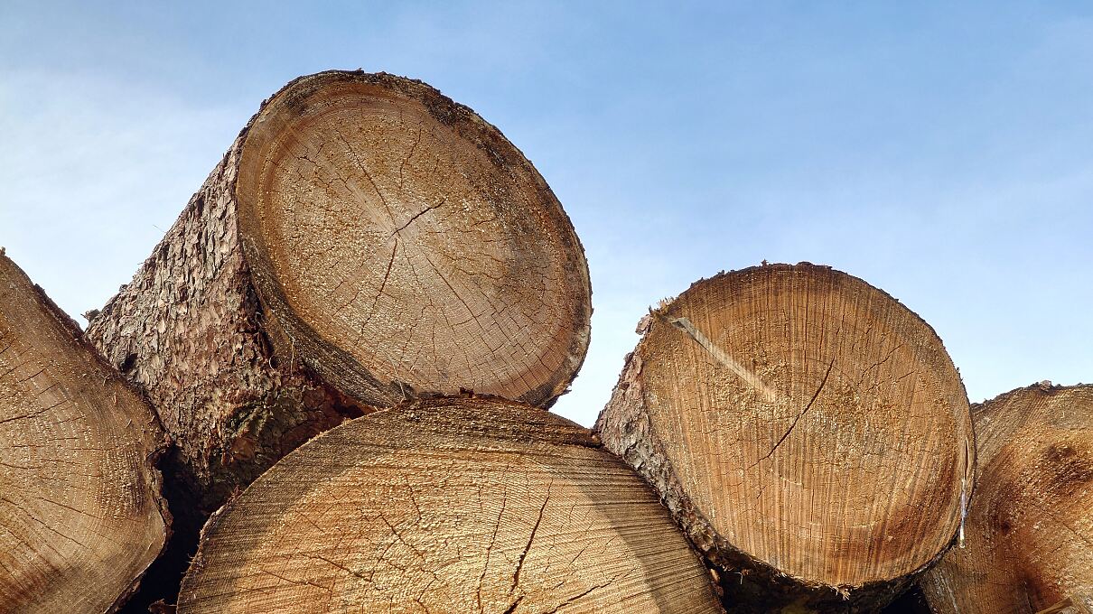 AIT TimberVision