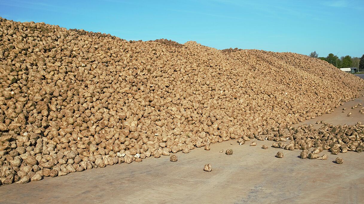 AIT_SemanticSugarBeets_PA Ruebenprisma1