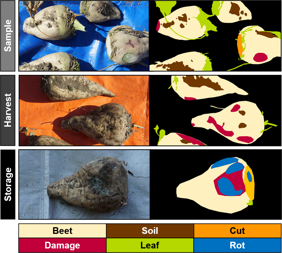 AIT_SemanticSugarBeets_PA Annotation